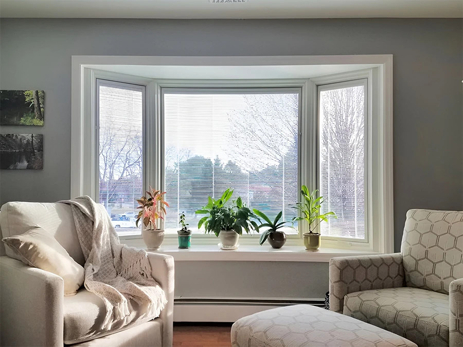 Annapolis Bay or Bow Windows